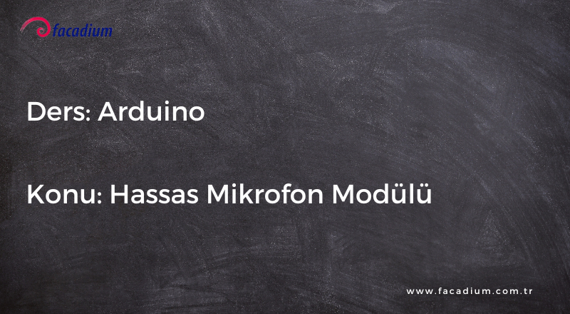 Hassas Mikrofon Modülü