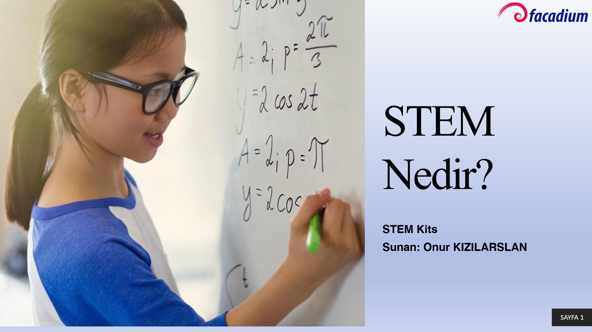 STEM Nedir